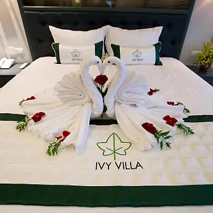 4* Hotel Ivy